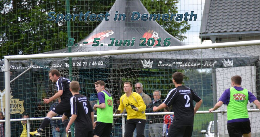 Sportfest2016banner
